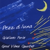 Giuliano Perin: Pezzi di luna