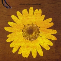 Glenside Allstars : Ampliflower