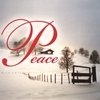 GLISSANDI: Peace