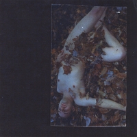 Jeremy Gloff : Autumn