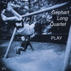 GEPHART LONG QUARTET: Play