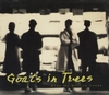 GOATS IN TREES: When the Morning Comes