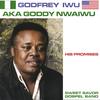 GODFREY IWU: His Promises