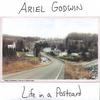 ARIEL GODWIN: Life in a Postcard
