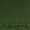 JEFF GOINS: Audio Stereo Grams