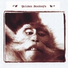 GOLDEN MONKEYS / YUSUKE YAMAMOTO: Golden Monkeys