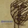 GORDON ROQU&Eacute;: Seahorses