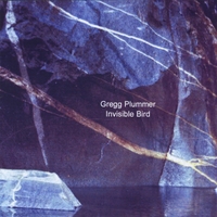 Gregg Plummer : Invisible Bird