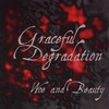 GRACEFUL DEGRADATION: Woe and Beauty