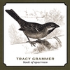 Tracy Grammer on CDBaby