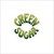 GREENSUGAR: The Power Snail Sessions