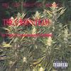 THE GREEN TEAM: This Grass Is Greener:Unreleased & Unfinished
