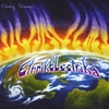 Greg Simon: EthnikElectrika