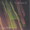 GREG WELLS: i-lek-'tran-ik