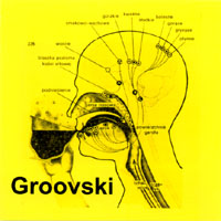 Groovski Cover of Groovski