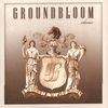 GROUNDBLOOM: Schemas