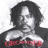 EMERSON: Growiser