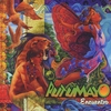 Grupo Putumayo: Encuentro