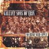 GALLANT SONS OF ERIN: No Irish Need Apply