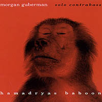Morgan Guberman : Hamadryas Baboon