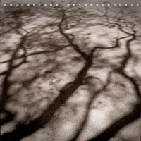 PAOLO GUIDUCCI: Soundscape Metamorphosis