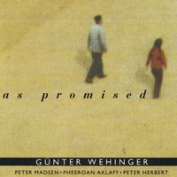 Günter Wehinger : As Promised