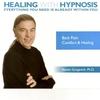 STEVEN GURGEVICH, PHD: Back Pain Comfort/Healing