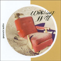Gwyneth Baillie : Wishing Well
