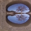 GYAN RILEY: Melismantra