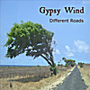 Gypsy Wind: Different Roads