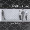 DAVID HAACK BAND: Not So Far