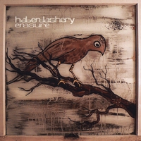 HABERDASHERY: Erasure