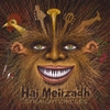HAI MEIRZADH: Straight Circles