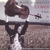MATT HAIMOVITZ: 6 Suites for Cello Solo