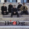 HAIR OF THE DOG: Let It Flow
