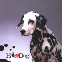 HAIR OF THE DOG: Collection