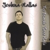 Joshua Hallas: Two Boards Three Nails
