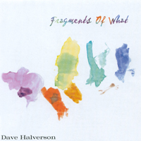 Dave Halverson : Fragments of What