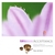 HANS DE BACK: Acceptance