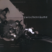 Hans Peter Salentin : Zwischenräume