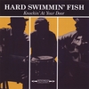 THE HARD SWIMMIN FISH: Knockin' At Your Door