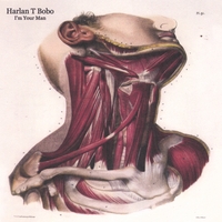 Harlan T. Bobo : I'm Your Man