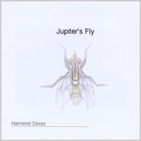 Harmonic Decay : Jupiter's Fly