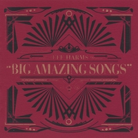 Jeff Harms : Jeff Harms' Big Amazing Songs