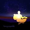 Harry J Reynolds: Ugly Lullaby