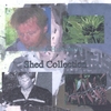 PHILIP HARTSHORN: Shed Collection