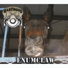 HARTWOOD: Enumclaw