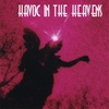 HAVOC IN THE HEAVENS: Havoc in the Heavens