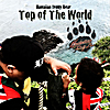 Hawaiian Teddy Bear: Top of the World