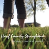 Hawf Family Stringband: Mossy Covered Pond